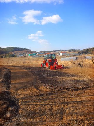 오이8898황산면님의 고추 · 영농일지 작성글 사진