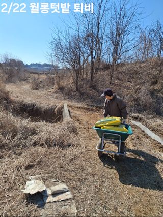 kh글로벌님의 기타작물 · 영농일지 작성글 사진