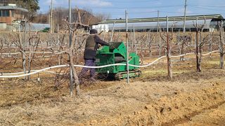 우창농원님의 기타작물 · 영농일지 작성글 사진