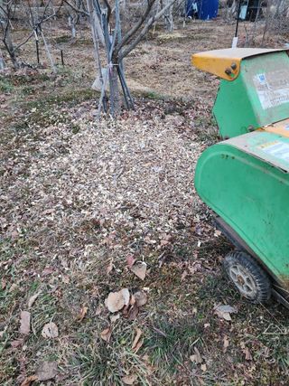 밀양달콤팜님의 기타작물 · 영농일지 작성글 사진