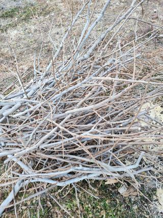 밀양달콤팜님의 기타작물 · 영농일지 작성글 사진