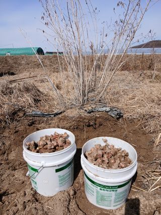 이갑덕님의 기타작물 · 영농일지 작성글 사진