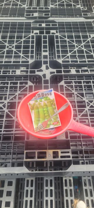 김정은님의 콩 · 영농일지 작성글 사진