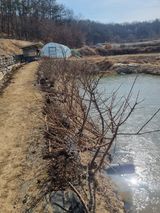 팜모닝 기타작물·영농일지 게시글 이미지