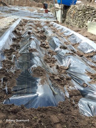 이세순님의 기타작물 · 영농일지 작성글 사진