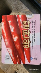 팜모닝 기타작물·영농일지 게시글 이미지