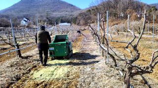 우창농원님의 기타작물 · 영농일지 작성글 사진