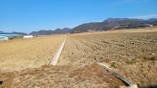 정정치님의 기타작물 · 영농일지 작성글 사진