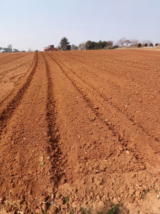 결단이님의 기타작물 · 영농일지 작성글 사진