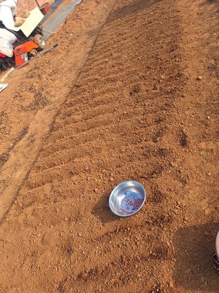 김은숙님의 기타작물 · 영농일지 작성글 사진