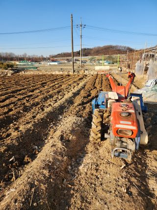  청계유정란 박진균님의 감자 · 영농일지 작성글 사진