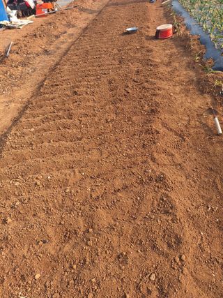 김은숙님의 기타작물 · 영농일지 작성글 사진