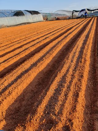 박정남님의 기타작물 · 영농일지 작성글 사진