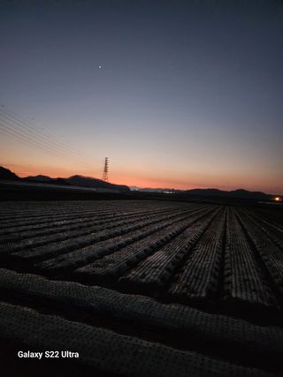 박종권님의 마늘 · 영농일지 작성글 사진