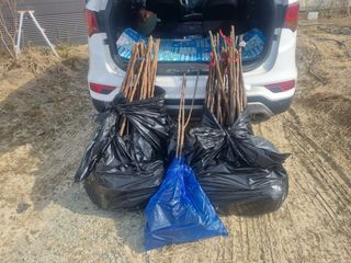 홍보배님의 감 · 영농일지 작성글 사진