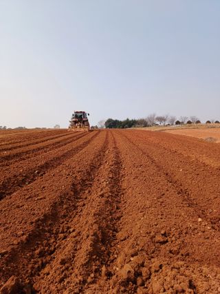 결단이님의 기타작물 · 영농일지 작성글 사진