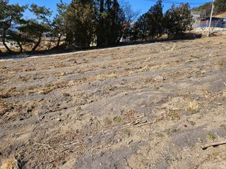 보람농장님의 기타작물 · 영농일지 작성글 사진