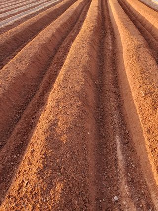 박정남님의 기타작물 · 영농일지 작성글 사진