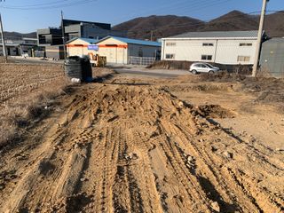 백용구님의 두릅 · 영농일지 작성글 사진