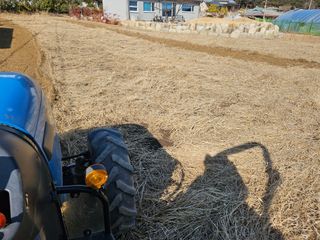 보람농장님의 기타작물 · 영농일지 작성글 사진