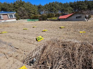 보람농장님의 기타작물 · 영농일지 작성글 사진