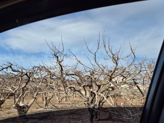 서해숙님의 기타작물 · 영농일지 작성글 사진