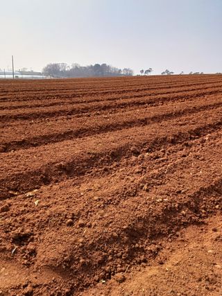 결단이님의 기타작물 · 영농일지 작성글 사진