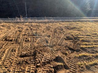 백용구님의 두릅 · 영농일지 작성글 사진