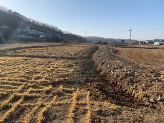 백용구님의 두릅 · 영농일지 작성글 사진