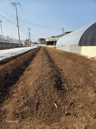 김시내 님의 기타작물 · 영농일지 작성글 사진