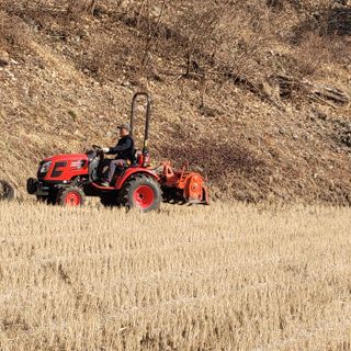 김선순(공룡자색마)님의 기타작물 · 영농일지 작성글 사진
