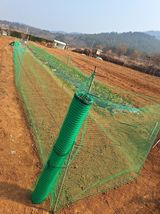 팜모닝 기타작물·영농일지 게시글 이미지