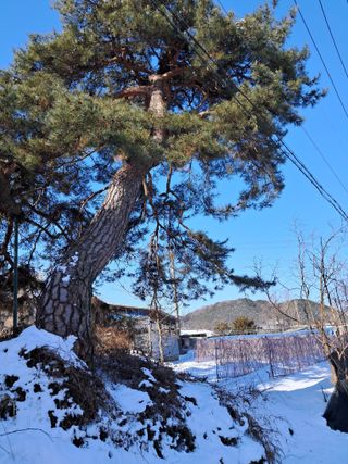 이광하님의 기타작물 · 영농일지 작성글 사진