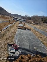 팜모닝 감·영농일지 게시글 이미지