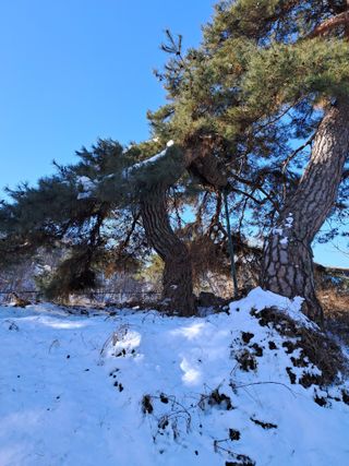 이광하님의 기타작물 · 영농일지 작성글 사진