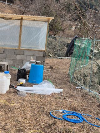 시골농부뜨돌이님의 기타작물 · 영농일지 작성글 사진