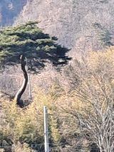 팜모닝 기타작물·영농일지 게시글 이미지