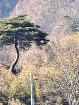 이광하님의 기타작물 · 영농일지 작성글 사진