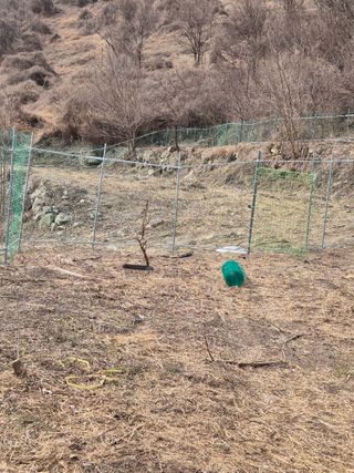 시골농부뜨돌이님의 기타작물 · 영농일지 작성글 사진