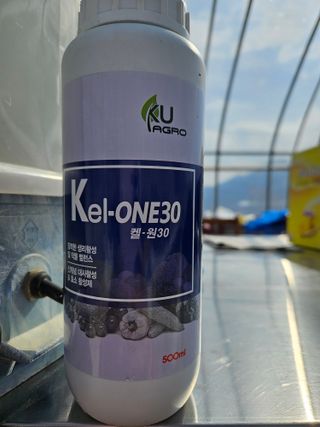 백호순(후추)님의 고추 · 영농일지 작성글 사진