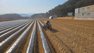 김남근님의 기타작물 · 영농일지 작성글 사진