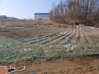 흥부네땅님의 기타작물 · 영농일지 작성글 사진