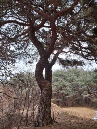 이광하님의 기타작물 · 영농일지 작성글 사진