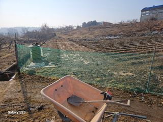 흥부네땅님의 기타작물 · 영농일지 작성글 사진