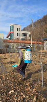 팜모닝 기타작물·영농일지 게시글 이미지