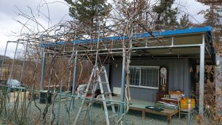 초보농부님의 기타작물 · 영농일지 작성글 사진