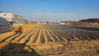 김남근님의 기타작물 · 영농일지 작성글 사진