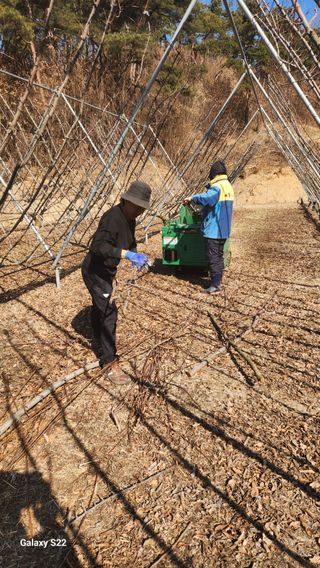 김준한님의 기타작물 · 영농일지 작성글 사진