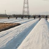 팜모닝 마늘·영농일지 게시글 이미지