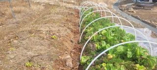 김정은님의 기타작물 · 영농일지 작성글 사진